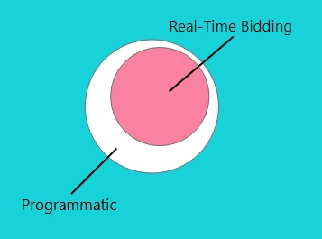 Programmatic vs real time bidding graphic